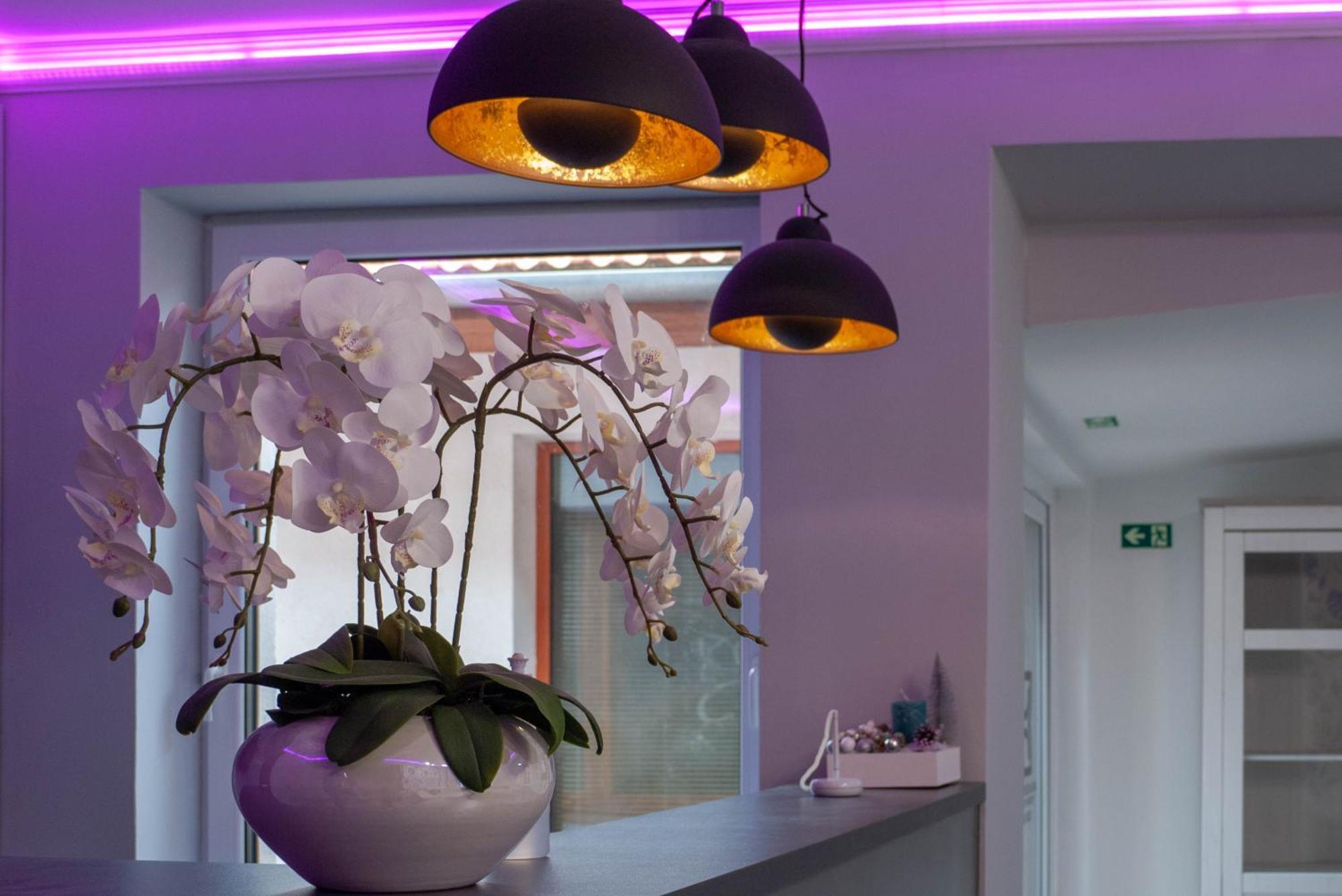 Bornemisza Kuria Wellness Resort Tiszabecs Esterno foto